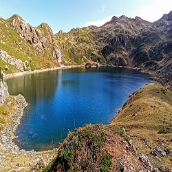 Salida Parque Natural Somiedo - Asturias - Oso pardo 1-5 mayo 2024